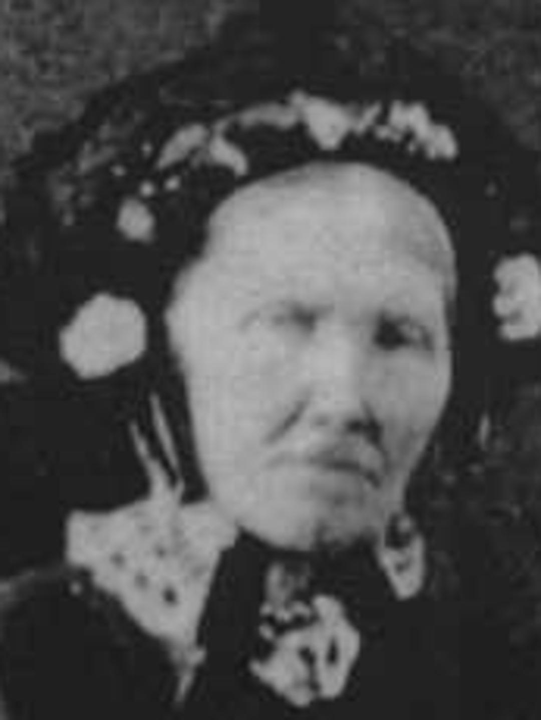 Caroline Anderson [or Caroline Andrews] Larson (1812 - 1888) Profile